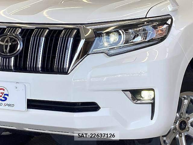 Toyota LAND CRUISER PRADO 2019-09 8796387-19
