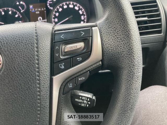 Toyota LAND CRUISER PRADO 2019-06 8796386-14