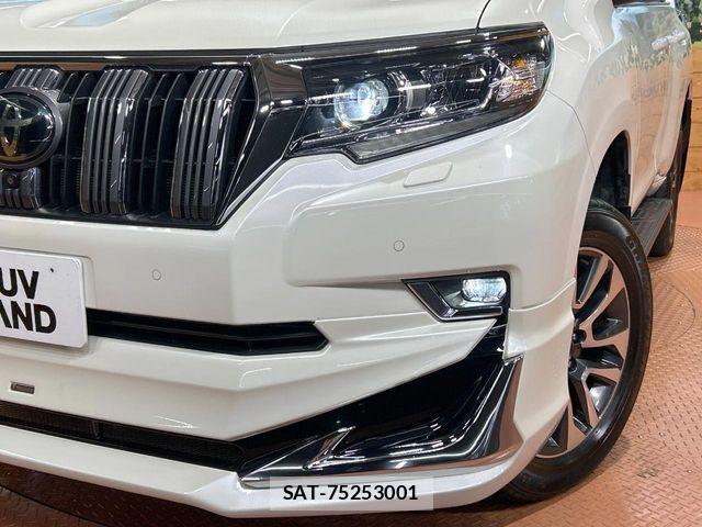 Toyota LAND CRUISER PRADO 2022-11 8829782-12