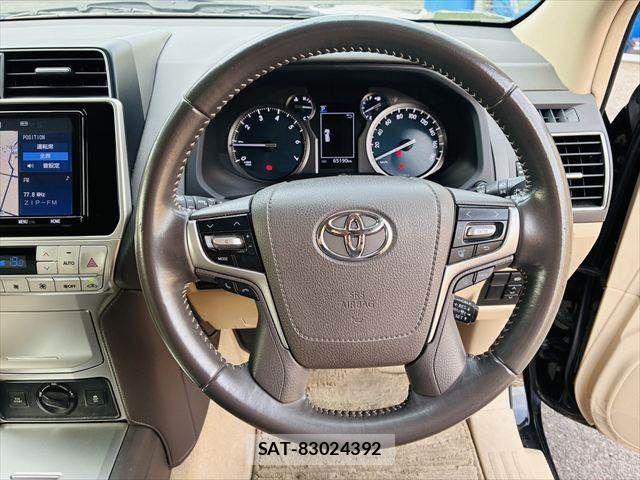 Toyota LAND CRUISER PRADO 2019-10 8880370-14
