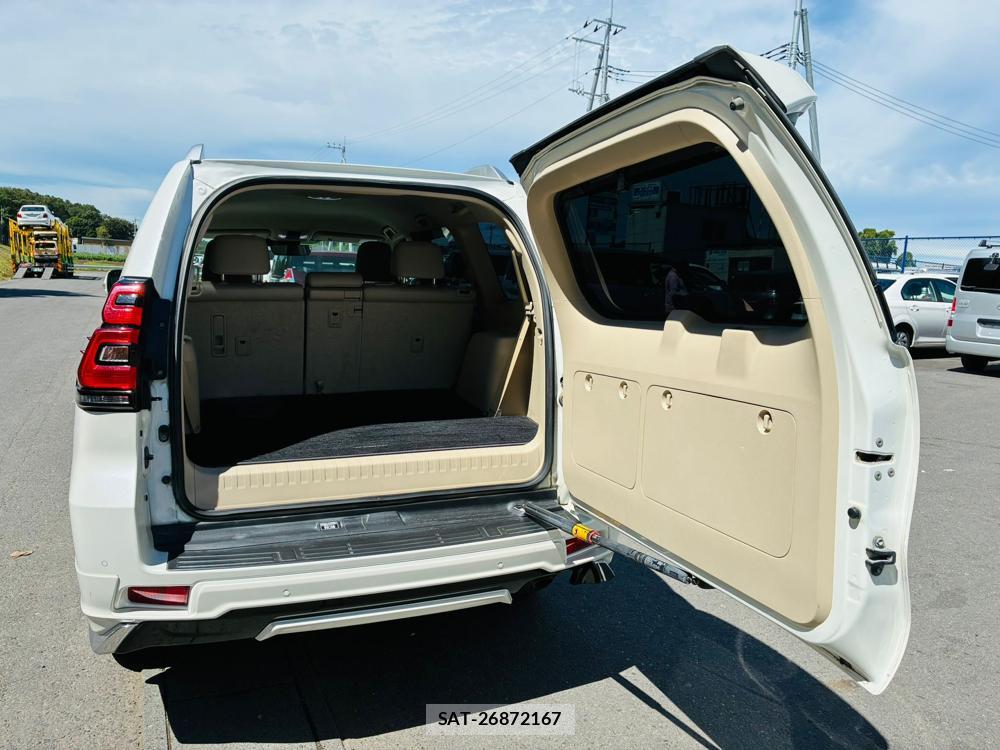 Toyota LAND CRUISER PRADO 2020-05 8484641-28