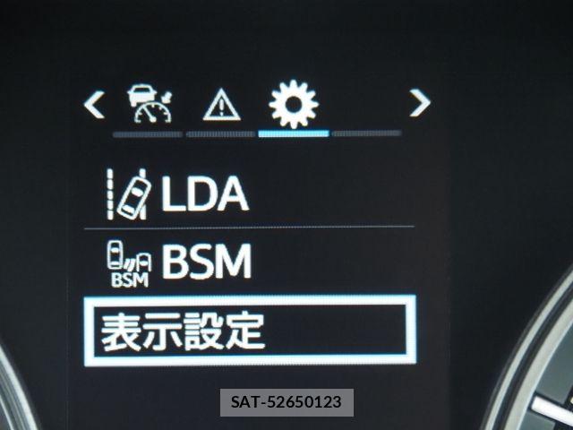 Toyota LAND CRUISER 2018-09 7877218-24