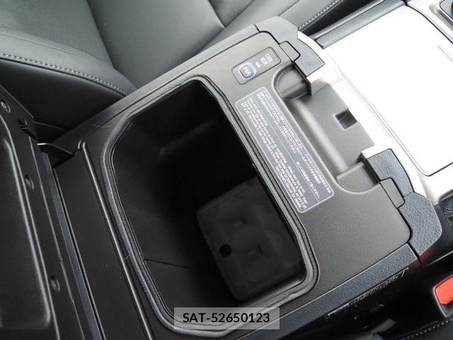 Toyota LAND CRUISER 2018-09 7877218-29