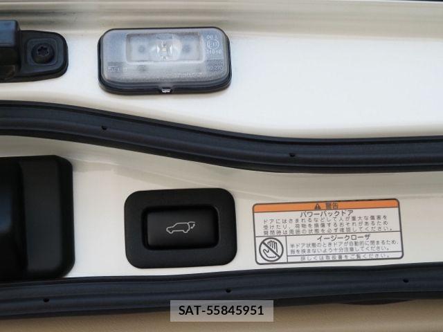 Toyota LAND CRUISER 2020-10 8208238-18