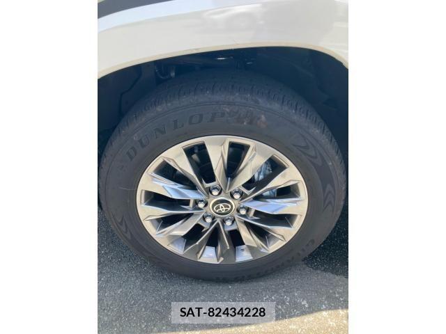 Toyota LAND CRUISER 2024-09 8245649-11
