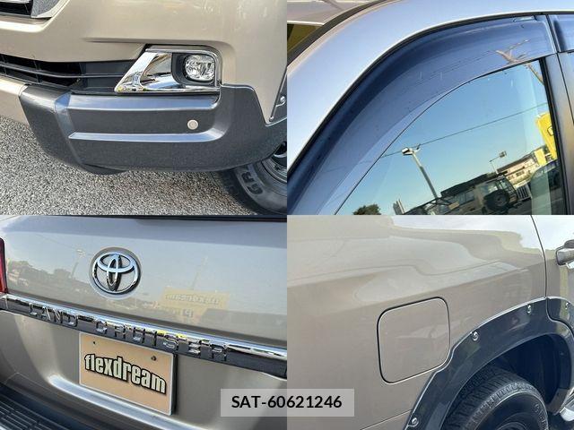 Toyota LAND CRUISER 2018-07 8829845-13