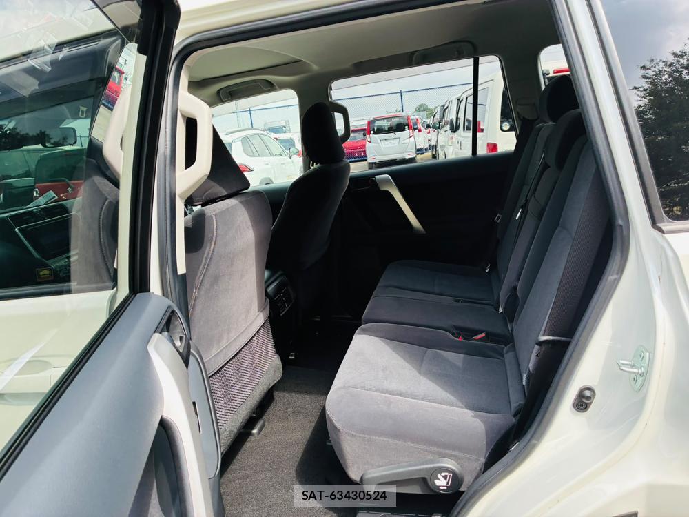 Toyota LAND CRUISER 2020-07 8079876-9