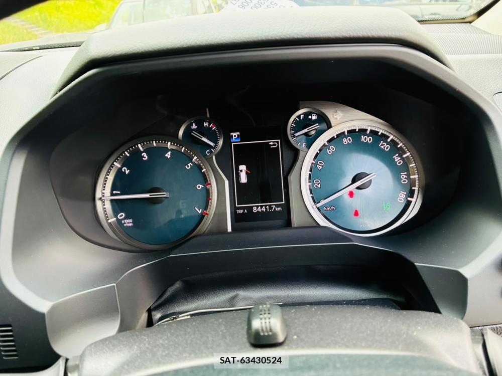 Toyota LAND CRUISER 2020-07 8079876-15