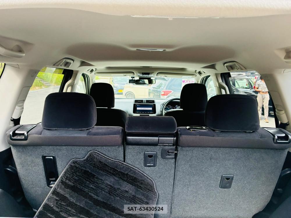 Toyota LAND CRUISER 2020-07 8079876-26