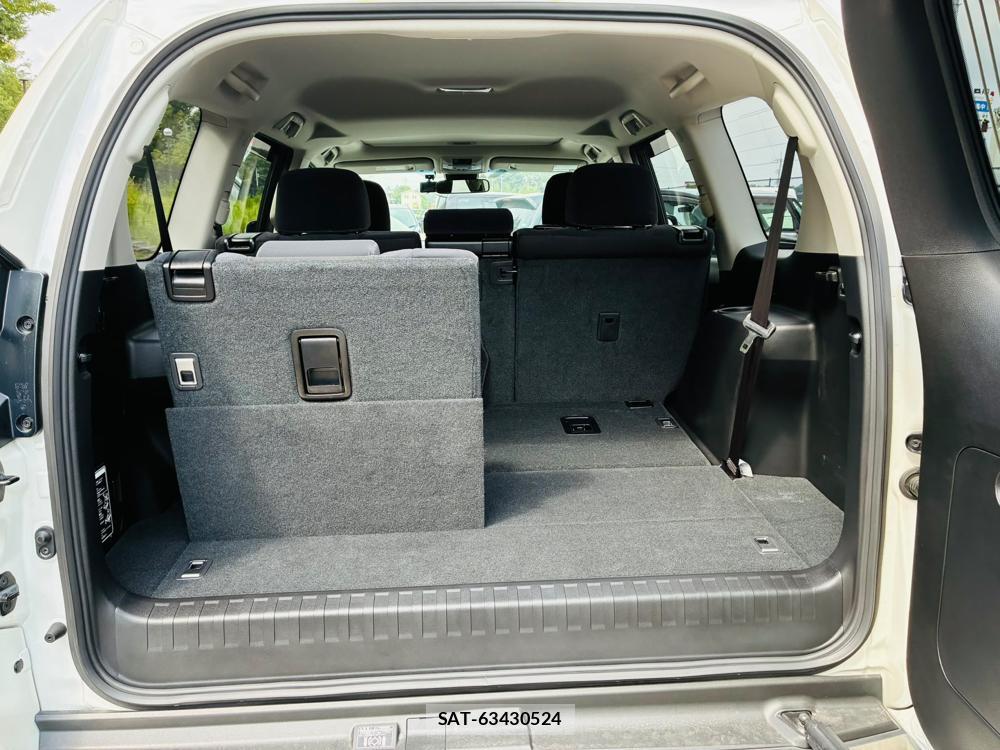 Toyota LAND CRUISER 2020-07 8079876-27
