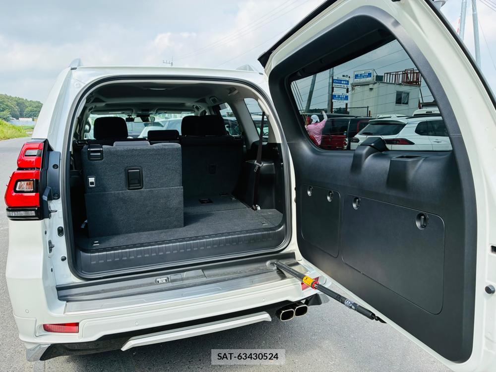 Toyota LAND CRUISER 2020-07 8079876-28