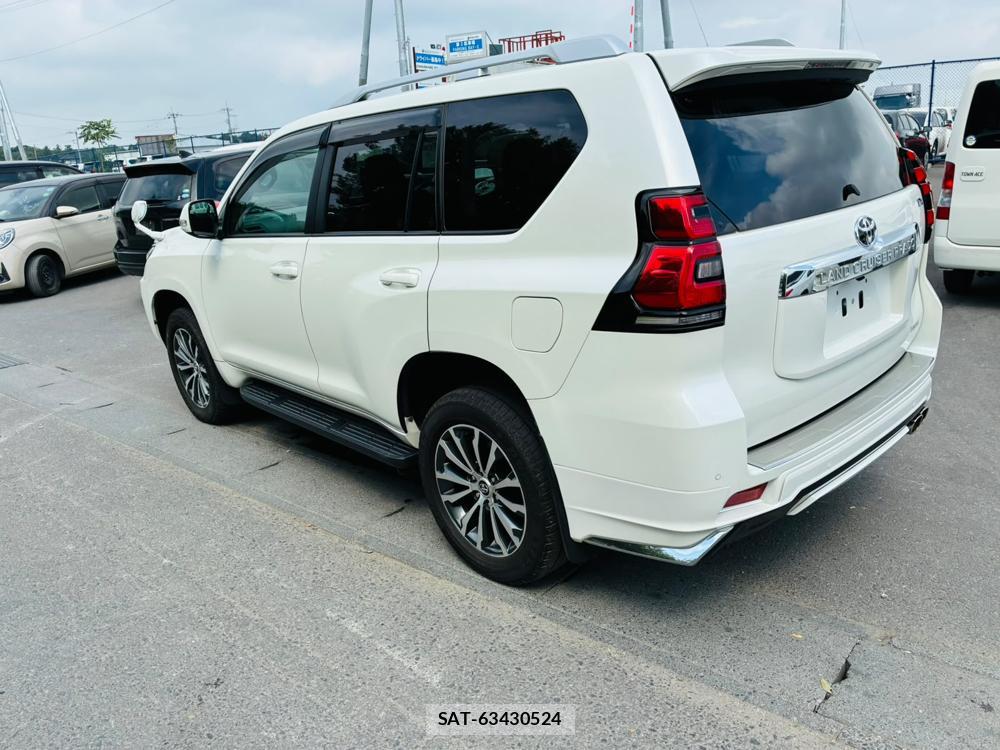 Toyota LAND CRUISER 2020-07 8079876-2