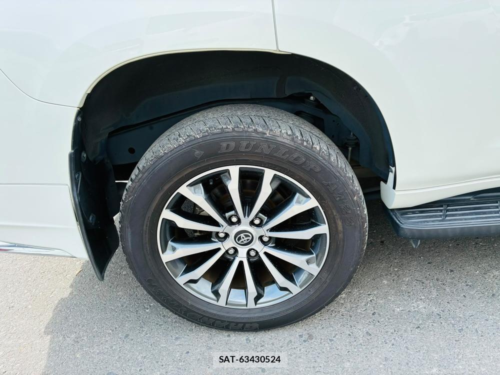 Toyota LAND CRUISER 2020-07 8079876-29