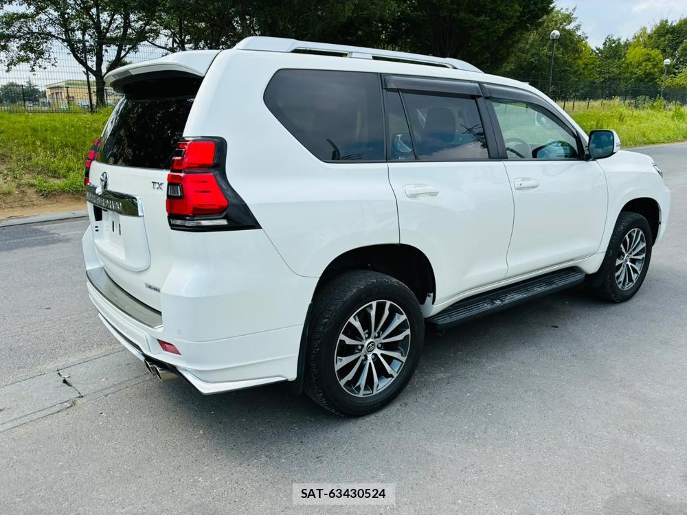 Toyota LAND CRUISER 2020-07 8079876-4