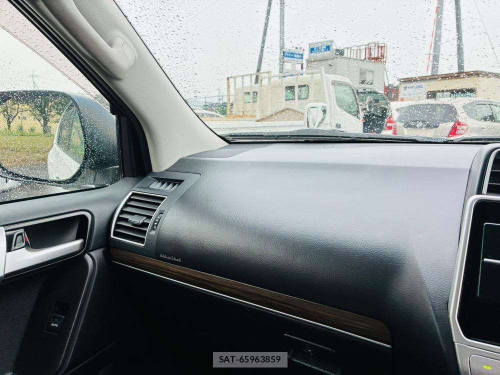 Toyota LAND CRUISER 2019-04 8656630-18