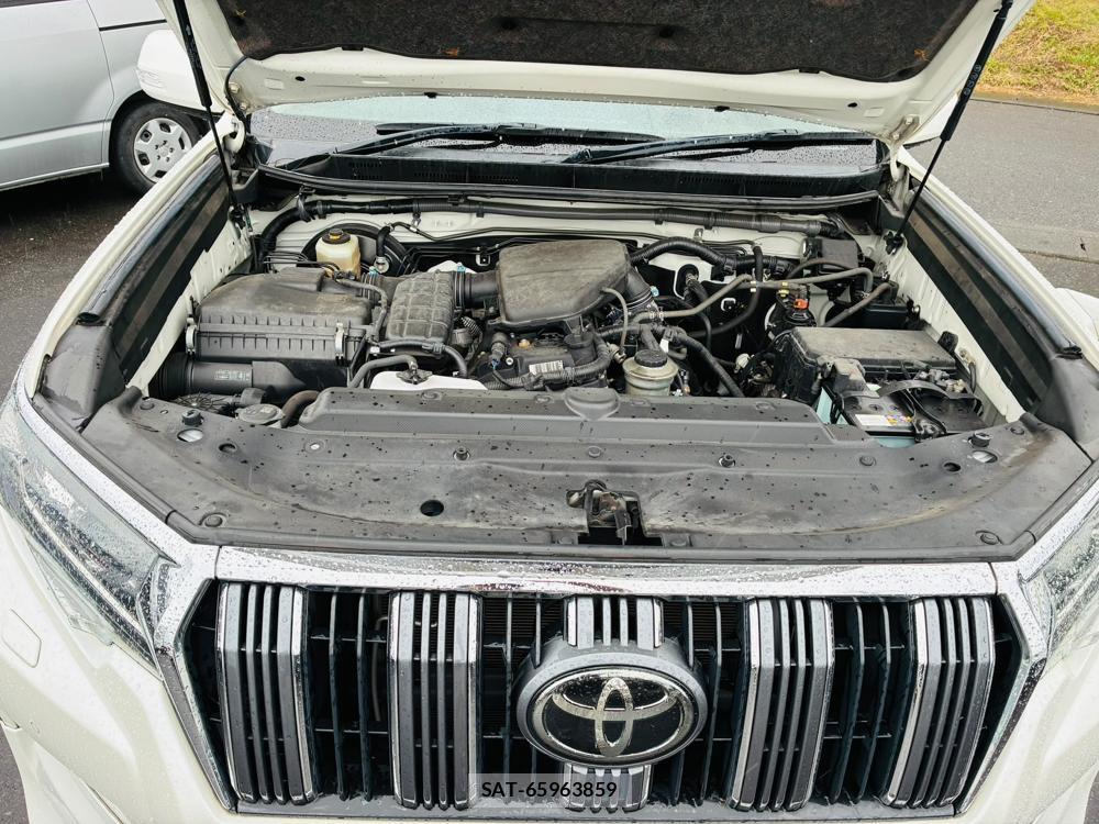Toyota LAND CRUISER 2019-04 8656630-39
