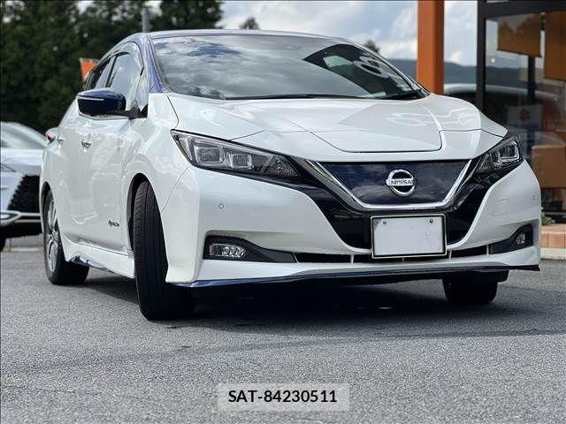 Nissan LEAF 2019-03 1067347-1