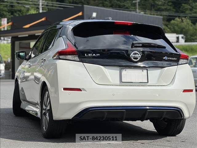 Nissan LEAF 2019-03 1067347-2