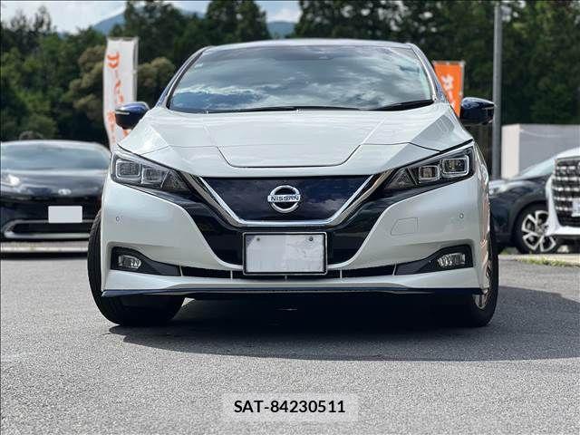 Nissan LEAF 2019-03 1067347-8