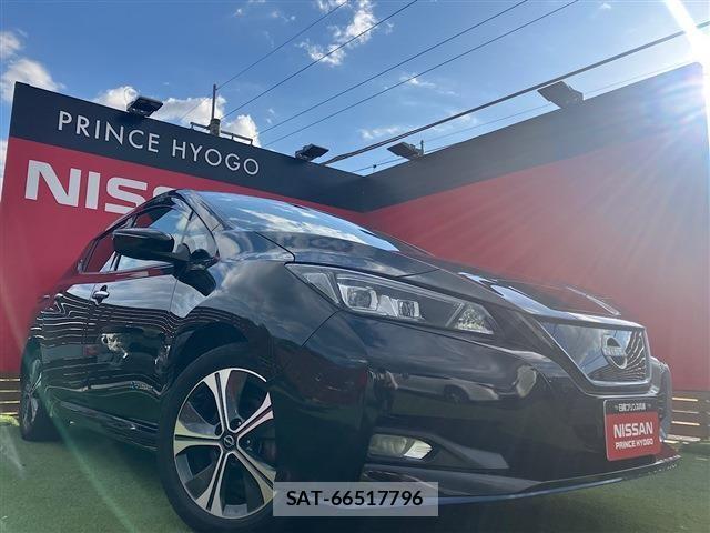 Nissan LEAF 2021-11 1413139-9