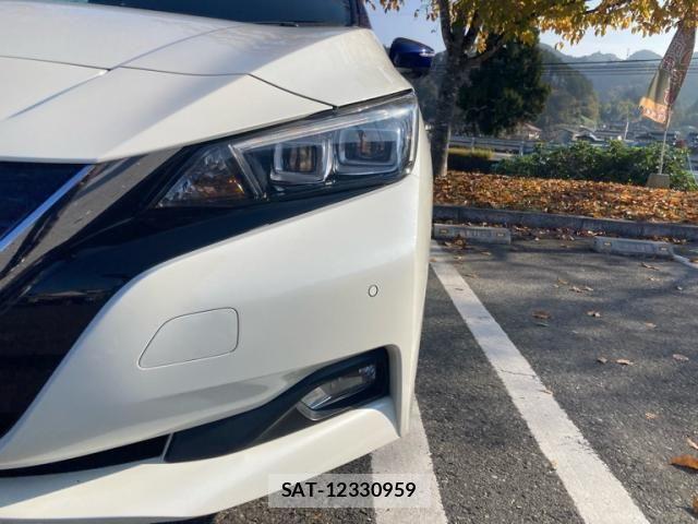 Nissan LEAF 2018-05 1463825-2