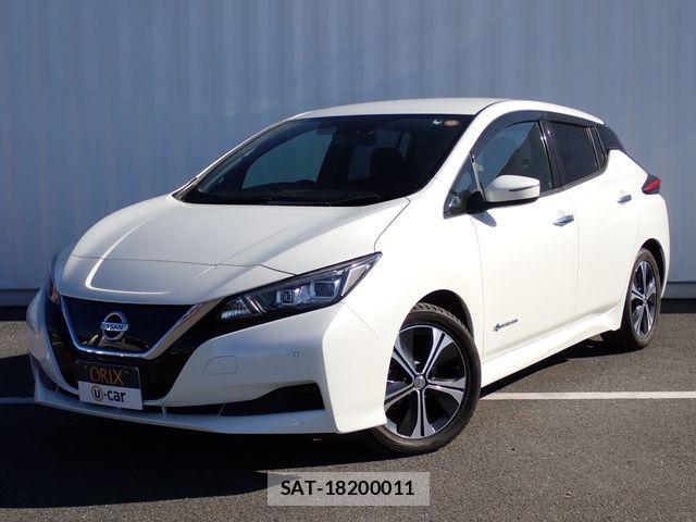 Nissan LEAF 2019-01 6002721-0