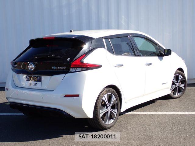 Nissan LEAF 2019-01 6002721-2