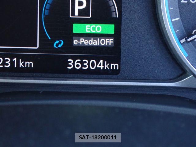 Nissan LEAF 2019-01 6002721-6