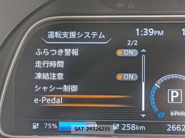 Nissan LEAF 2021-08 6245014-8