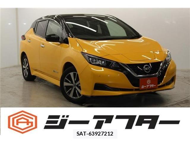 Nissan LEAF 2021-03 6791194-0