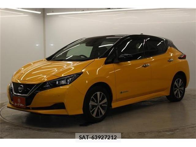 Nissan LEAF 2021-03 6791194-8