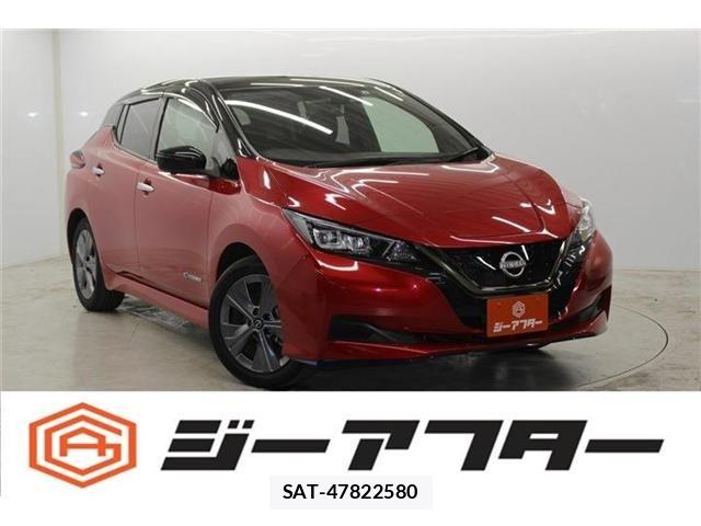 Nissan LEAF 2021-08 6791195-0