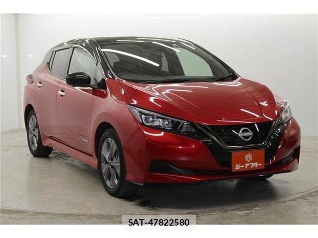 Nissan LEAF 2021-08 6791195-2