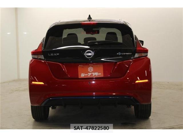 Nissan LEAF 2021-08 6791195-5