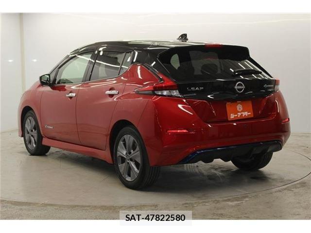 Nissan LEAF 2021-08 6791195-6