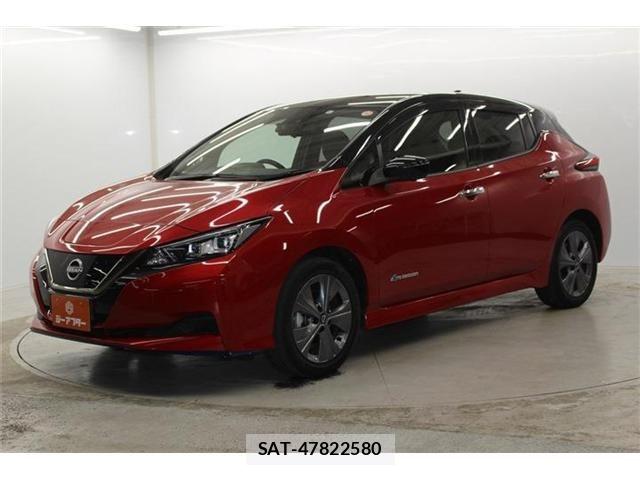 Nissan LEAF 2021-08 6791195-8