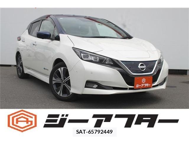Nissan LEAF 2021-04 7220682-0
