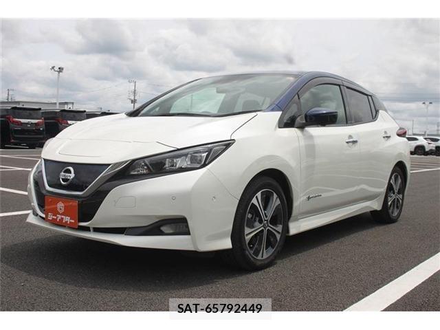 Nissan LEAF 2021-04 7220682-1
