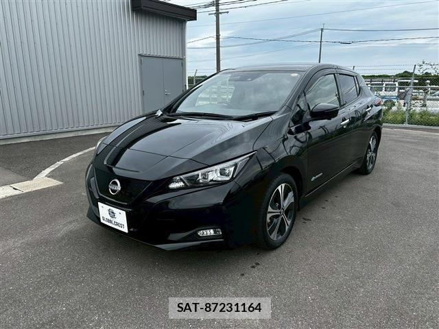 Nissan LEAF 2022-02 7220690-2