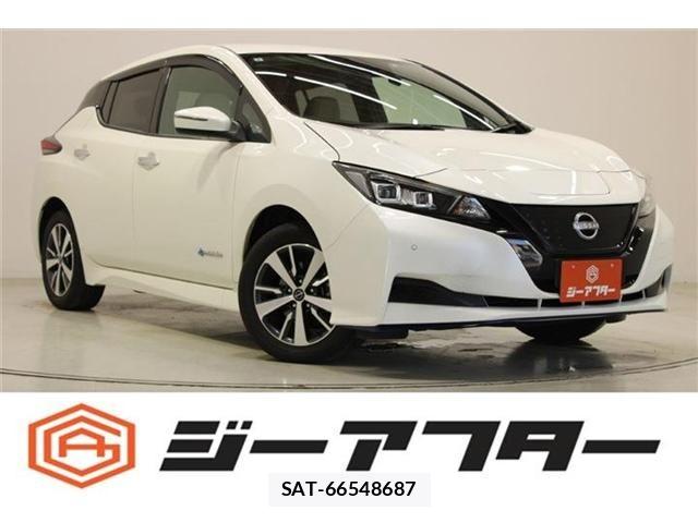 Nissan LEAF 2021-08 7220687-0