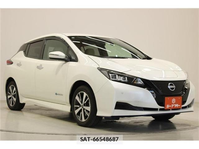 Nissan LEAF 2021-08 7220687-6