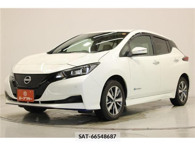 Nissan LEAF 2021-08 7220687-8
