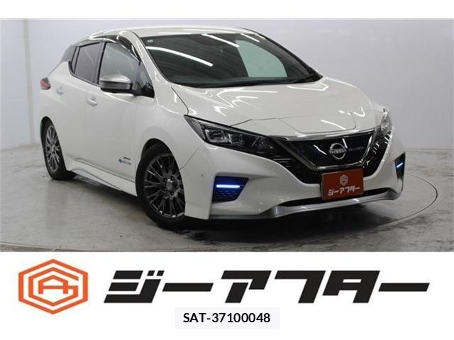 Nissan LEAF 2020-06 7220683-0