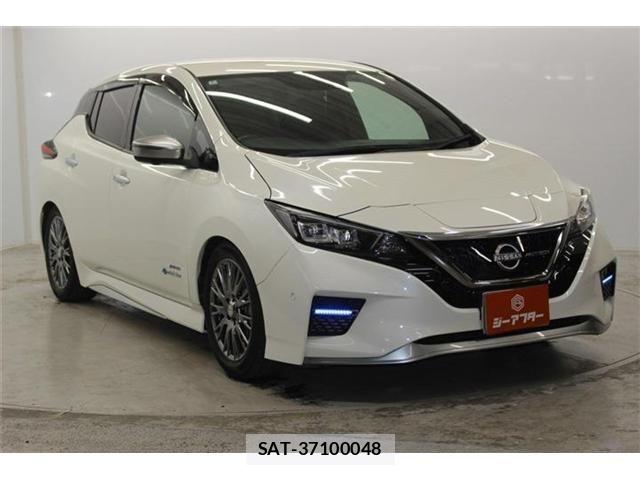 Nissan LEAF 2020-06 7220683-2