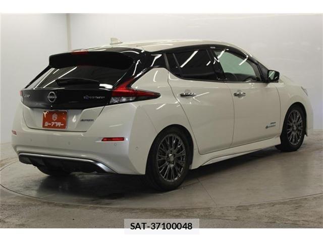 Nissan LEAF 2020-06 7220683-4