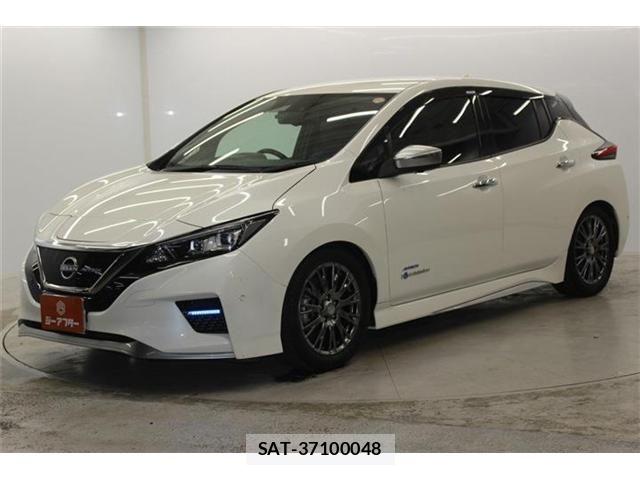 Nissan LEAF 2020-06 7220683-8