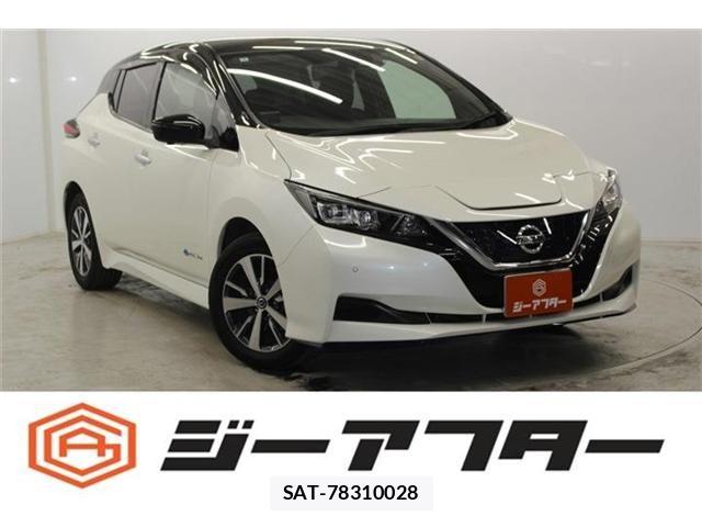 Nissan LEAF 2020-09 7220685-0