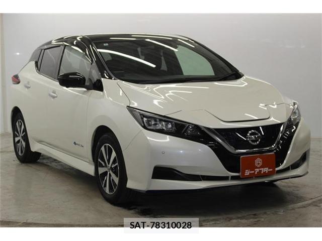Nissan LEAF 2020-09 7220685-2