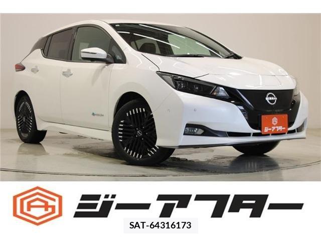 Nissan LEAF 2024-01 7220689-0