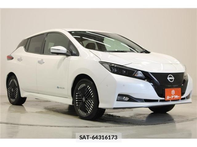 Nissan LEAF 2024-01 7220689-5